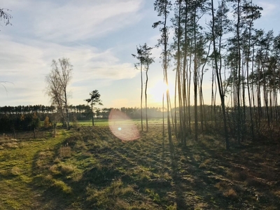 Działka pod lasem Nowy Folwark/Psary Małe 1100m2