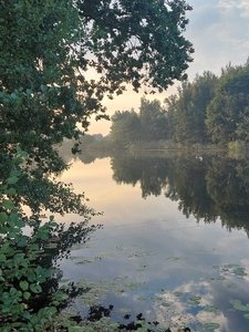 Działka Rekreacyjna Linia Brzegowa Woda Domek Jezioro Blisko Wrocław