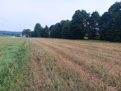 Działka rolna Bącz gm. Kartuzy - blisko jezioro