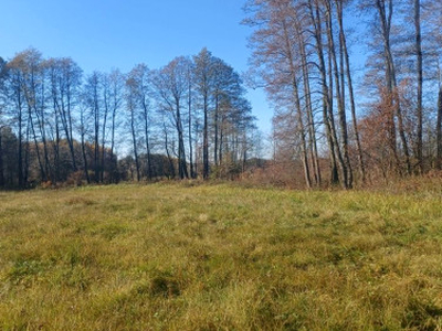 Działka rolna Las Lesznowolski