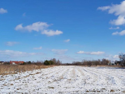 Działka rolna Nasutów