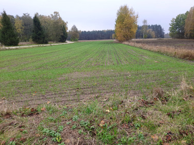 Działka rolno-budowlana Łapcie