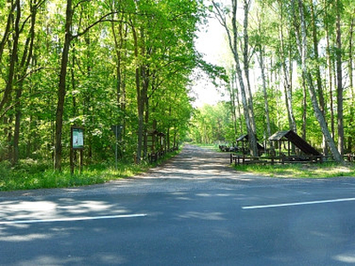 Działka rolno-budowlana Dziwnówek