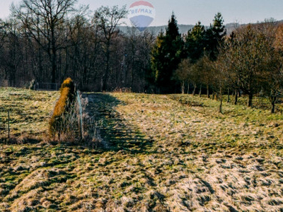 Działka rolno-budowlana, ul. Wyszyńskiego