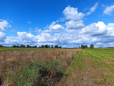 Działka w Dębowicy 750m2 blisko Łukowa