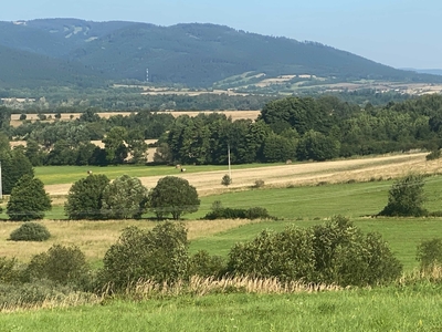 Działka w górach pod zabudowę 1,95 ha , Wyszki gm.Bystrzyca Kłodzka