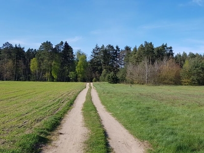 Działki 3000m2 Rekreacja Lokata Piękne lasy Woda miejska w działce