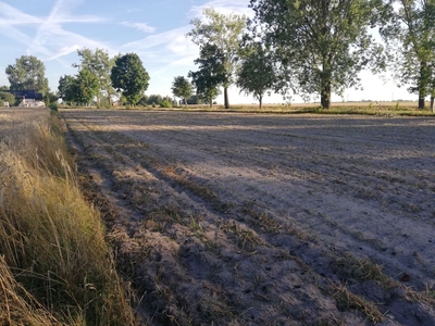 Działki budowlane Złotkowy - Rychwał.