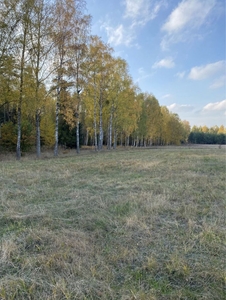 Dzialki rolne 30 arów na Mazurach, przy lesie