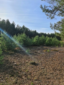 Jura , Janów, Teodorów ...