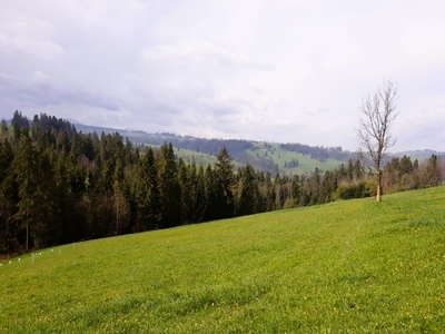 Piękna działka budowlana na Podhalu - Czerwienne