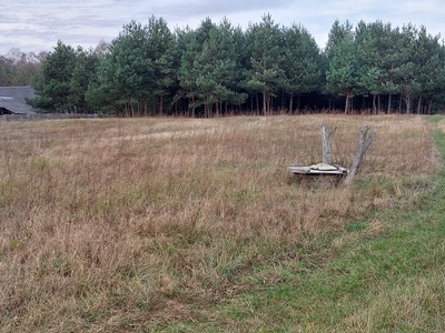 Piękna działka rolno-budowlana z lasem, Szcześniki