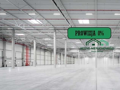 Powierzchnia magazynowa, hala, 10000m2, 0% PROWIZJI