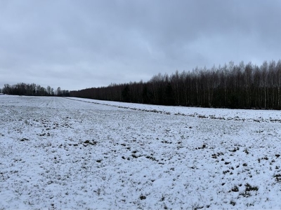 Sprzedam działki rolno - leśne