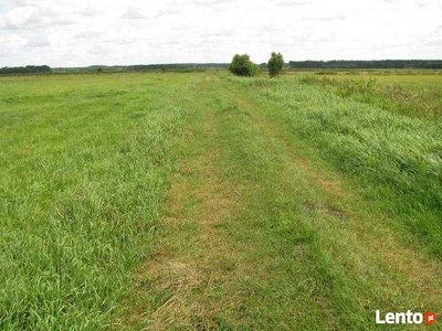 Sprzedam ziemię rolną.