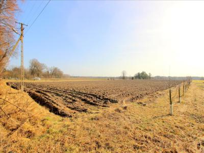 Działka na sprzedaż, Bełchatowski, Zwierzyniec Duży