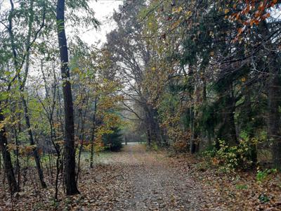 Działka na sprzedaż, Braniewski, Długobór