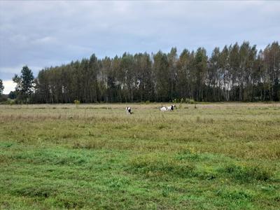 Działka na sprzedaż, Piaseczyński, Prażmów