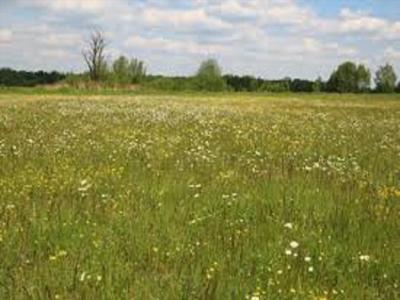 Działka na sprzedaż, Warszawski Zachodni, Leszno gm, Kępiaste