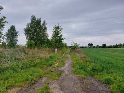 działka budowlana ul. Ogrodnicza