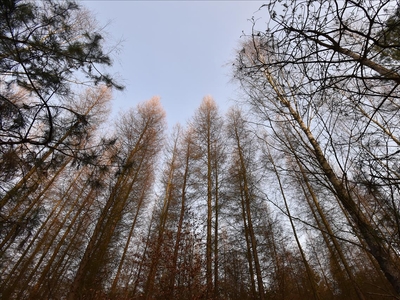 Działka na sprzedaż, łańcucki, Wydrze