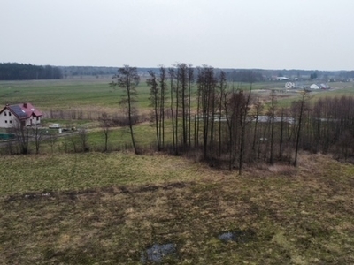 Piękna działka w pobliżu lasu