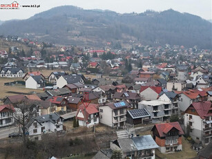 Nowotarski, Szczawnica, Główna