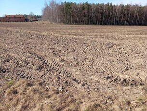 Syndyk sprzeda udział w nieruchomości gruntowej