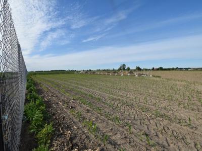 JelczLaskowice Oławski Dolnośląskie Biuro Nieruchomości