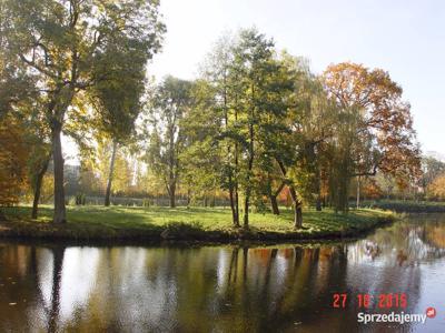 dwór pałac park jeziorko Popowo Kościelne gm. Mieścisko