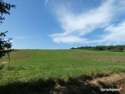 Działka 5005 m2 Beskid Niski/ Bieszczady