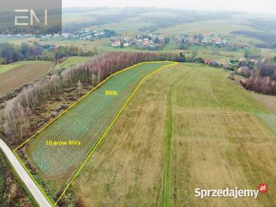 Działka 7500m2 Harta