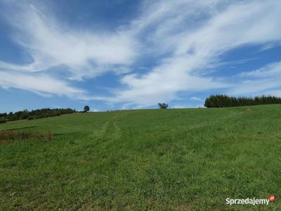 Działka 9809 m2 Beskid Niski / Bieszczady