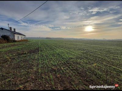 Gospodarstwo 8 ha Gostynin Strzelce Sokołów Łanięta