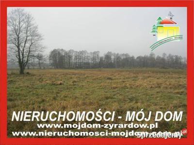 Oferta sprzedaży gruntu Sokule 3001m2