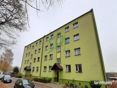 Oferta sprzedaży mieszkania Wodzisław Śląski 37.73m2 1 pokojowe