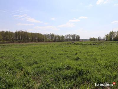 Trzy duże działki na sprzedaż w Skomętnie Wielkim