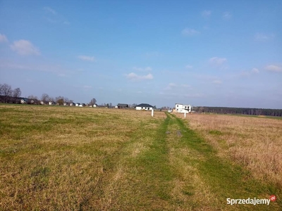 Działka 3000 M2 ( 14 zł za metr ) blisko Bydgoszczy