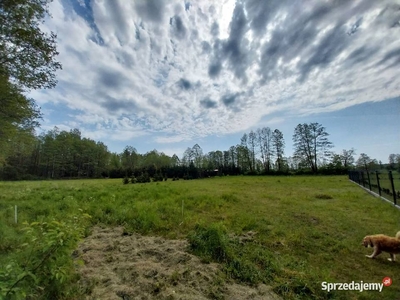 Działka budowlana Uściany Stare, Pisz, Mazury