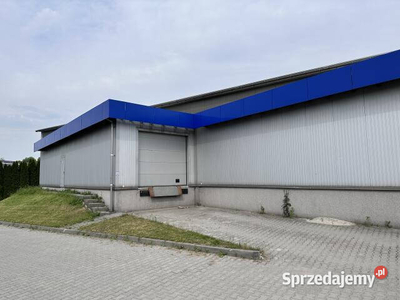 Lokal 700m2 Zabierzów