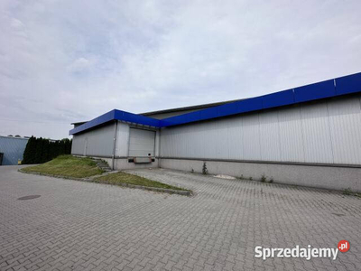 Lokal Zabierzów 350m2