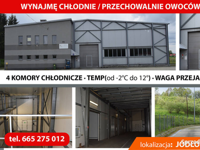 Na wynajem · Przechowalnia – Chłodnia