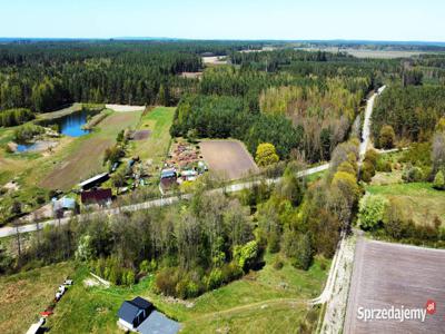 Atrakcyjna działka Dargiń 6000 m² (studnia, strumyk, drzewa)