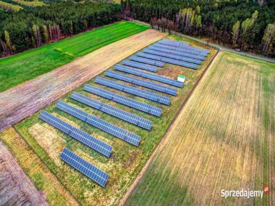 Na sprzedaż 42 ha pod farmę fotowoltaiczną