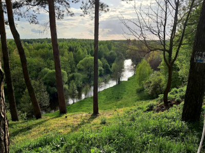 Działka rolno-budowlana Grodnia