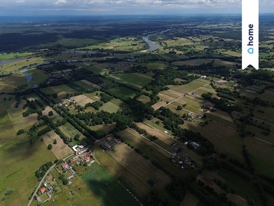 Działka siedliskowa Wilczogęby