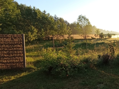 Gutkowo, urokliwa działka blisko miasta, las, jezioro.