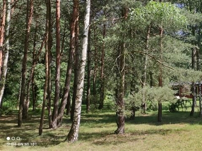 Dom wolnostojący - Brzezinki