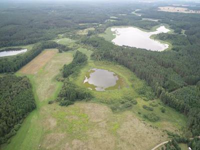 Działka rolna Brzeźno Łyńskie gm. Nidzica