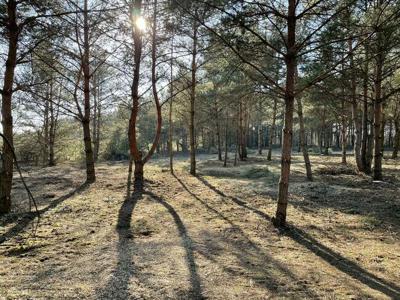 Działki budowlane 2,5 km od jeziora